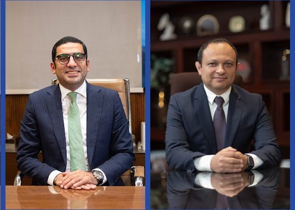 ماونتن فيو للتنمية والاستثمار