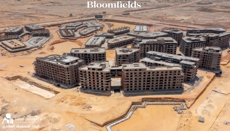 تطوير مصر