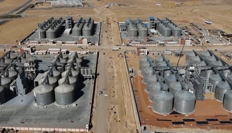 جهاز مستقبل مصر