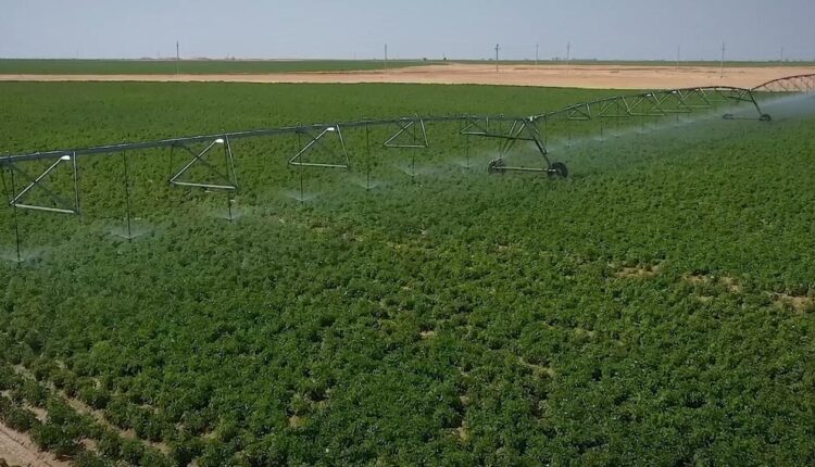 جهاز مستقبل مصر