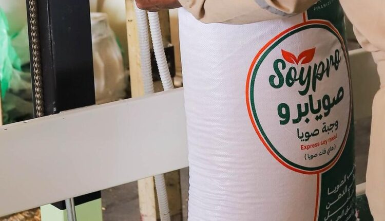 كايرو ثري إيه