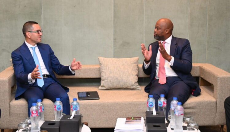 وزير الاستثمار