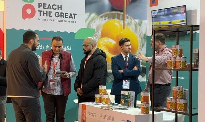 فوود أفريكا