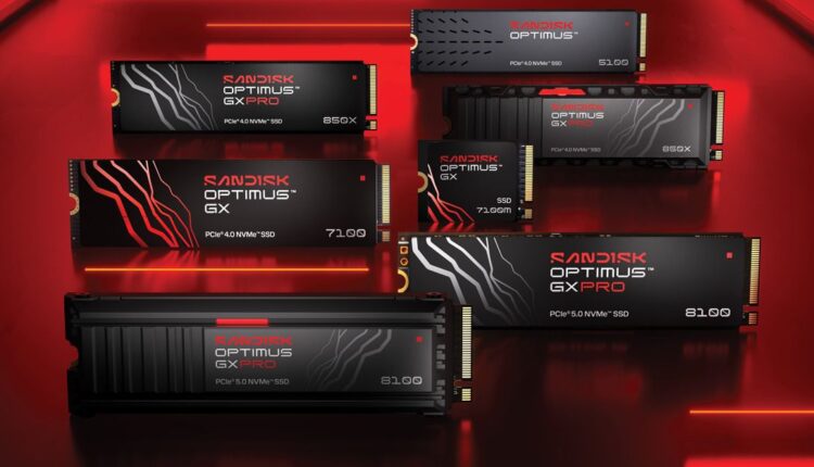 سانديسك SANDISK