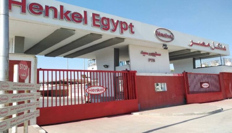 هنكل مصر